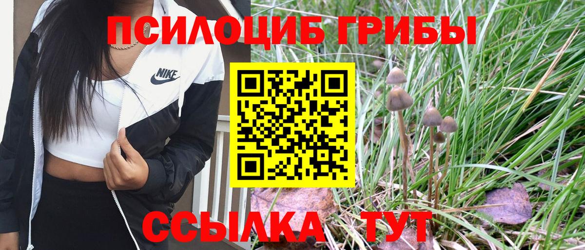 Серов  Галлюциногенные грибы Psilocybine cubensis  Псилоцибиновые грибы GOLDEN TEACHER  Вход с VPN 