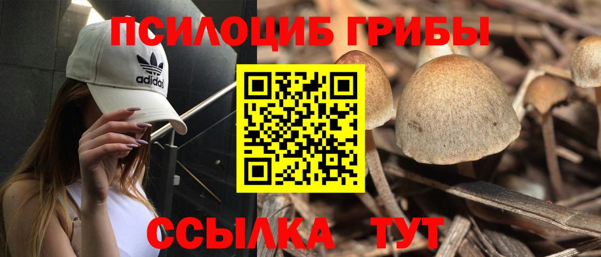 Галлюциногенные грибы GOLDEN TEACHER Серов